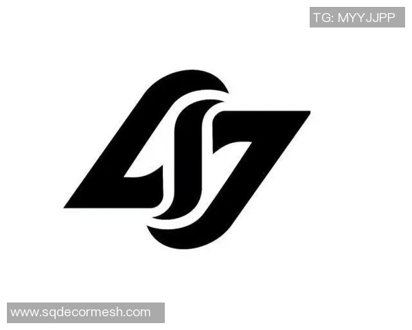 独家解析EDG战队配合策略与其他战队的差异与优势分析