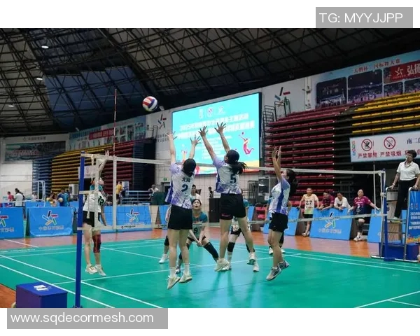 重庆排球队的节奏与魅力探讨聚焦排球运动的未来发展与挑战