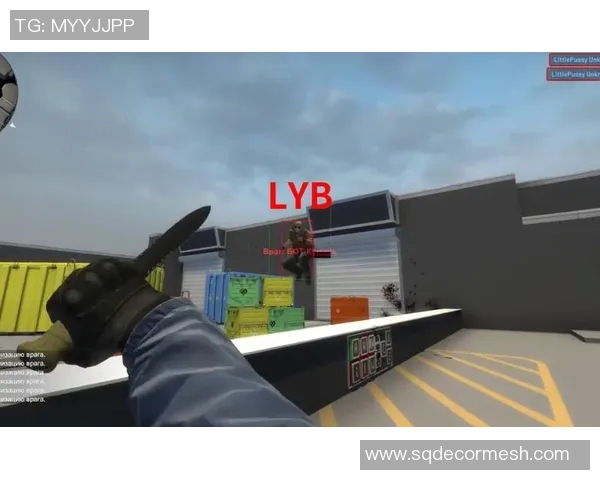 V5在CSGO阵地战中的表现分析与战术得失探讨