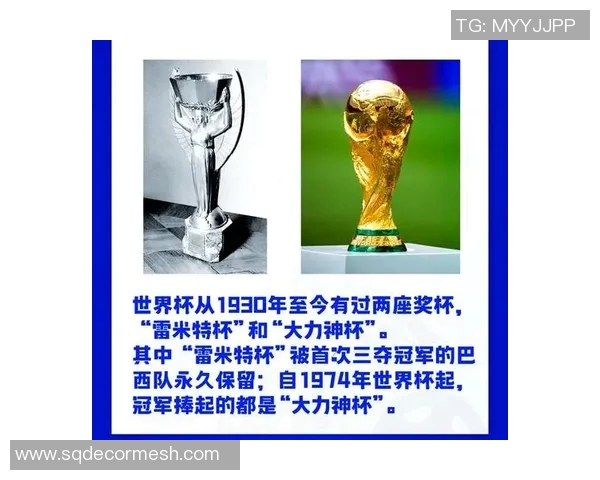 与113相关的足球明星背后的故事与成就探秘